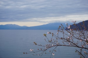 Shizuoka Photo  №8