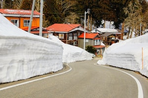 Niigata Photo  №5