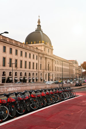 Lyon Photo  №5