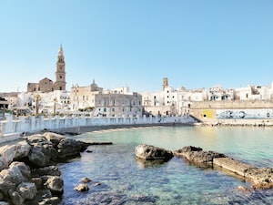 Bari Photo  №3
