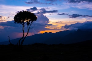 Kilimanjaro Photo  №4