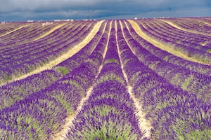 Aix-en-Provence Photo  №4