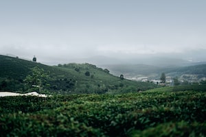 Dalat Photo  №2
