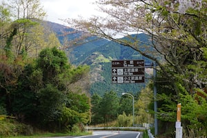 Shizuoka Photo  №1