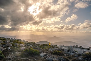 Hobart Photo  №2