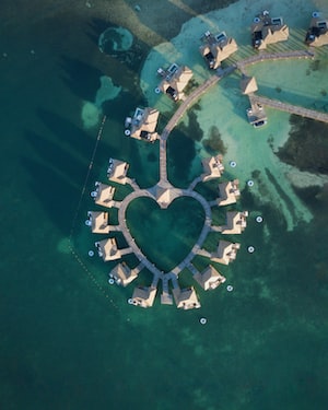 Montego Bay Photo  №3