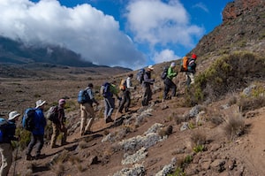 Kilimanjaro Photo  №3
