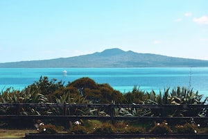 Auckland Photo  №5