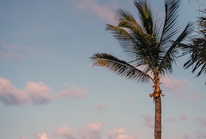 Sanya Photo  №6