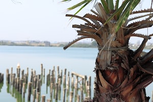 Constanta Photo  №2