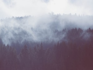 Nanaimo Photo  №2