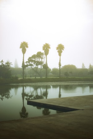 Port Elizabeth Photo  №6