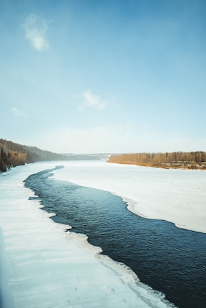 Edmonton Photo  №3