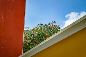 Oranjestad Photo  №8
