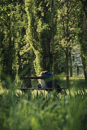 Craiova Photo  №7