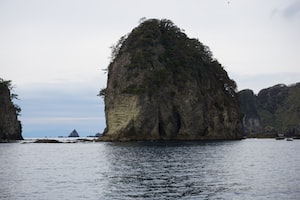 Shizuoka Photo  №4