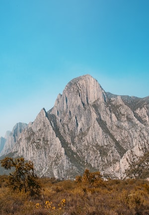 Monterrey Photo  №7