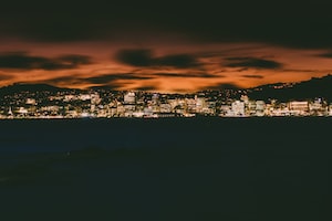 Wellington Photo  №2