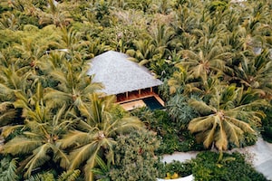 Zanzibar Photo  №7