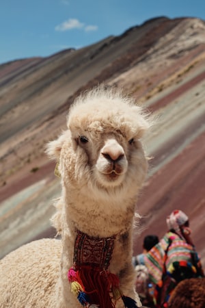 Cusco Photo  №2