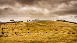 Canberra Photo  №7