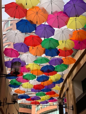 Medellin Photo  №2