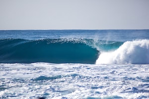 Durban Photo  №5