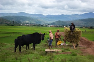Antananarivo Photo  №3