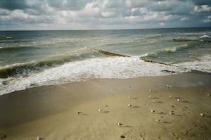 Kaliningrad Photo  №8