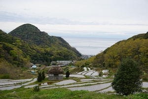 Shizuoka Photo  №4