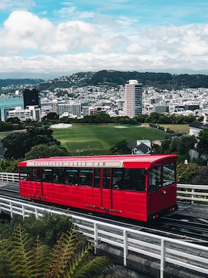 Wellington Photo  №7
