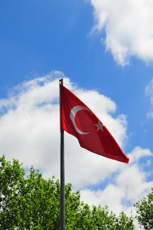 Bursa Photo  №8