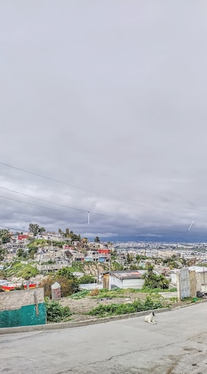 Tijuana Photo  №7