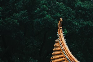 Wuhan Photo  №2