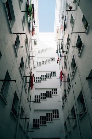 Pamplona Photo  №3