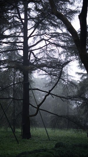 Hangzhou Photo  №1