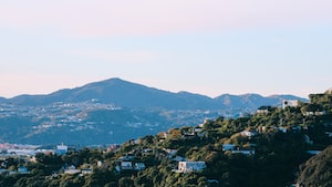 Wellington Photo  №3