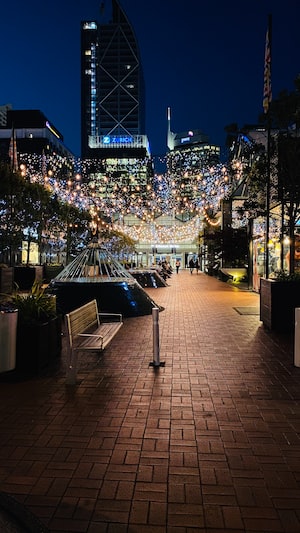 Auckland Photo  №6