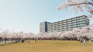 Fukushima Photo  №8