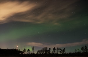 Uppsala Photo  №5