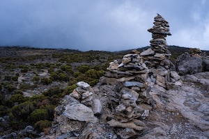 Kilimanjaro Photo  №8