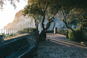 Capri Photo  №7