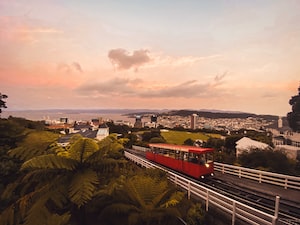 Wellington Photo  №5