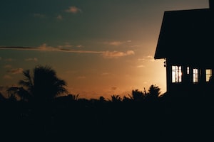 Suva Photo  №2