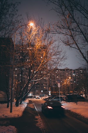 Moscow Photo  №4