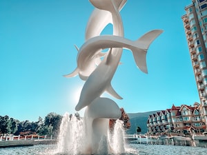 Kelowna Photo  №2