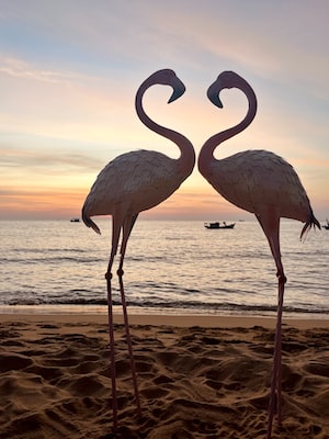 Phu Quoc Photo  №3