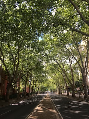 Adelaide Photo  №3