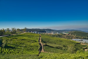 Dalat Photo  №4