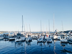 Hobart Photo  №8